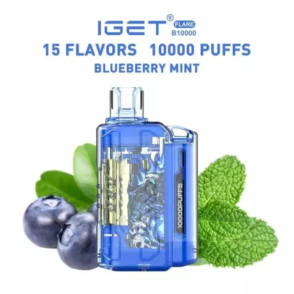 IGET FLARE B10000 – Blueberry Mint - Vape Shop Chennai