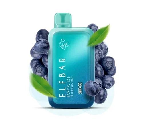 Elf Bar Raya D1 – Blueberry Mint 13K | Premium Disposable Vape in Chennai