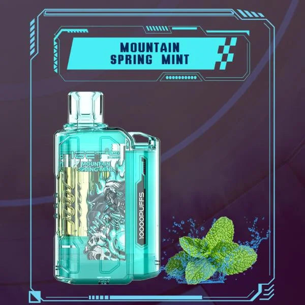IGET FLARE B10000 – Mountain Spring Mint | Premium Mint Vape in Chennai